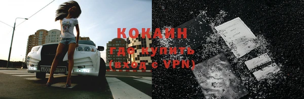 тгк Богданович