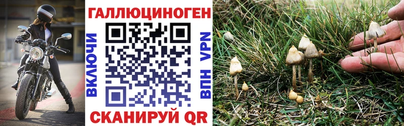 Галлюциногенные грибы Magic Shrooms  Купить закладки  Котельники 
